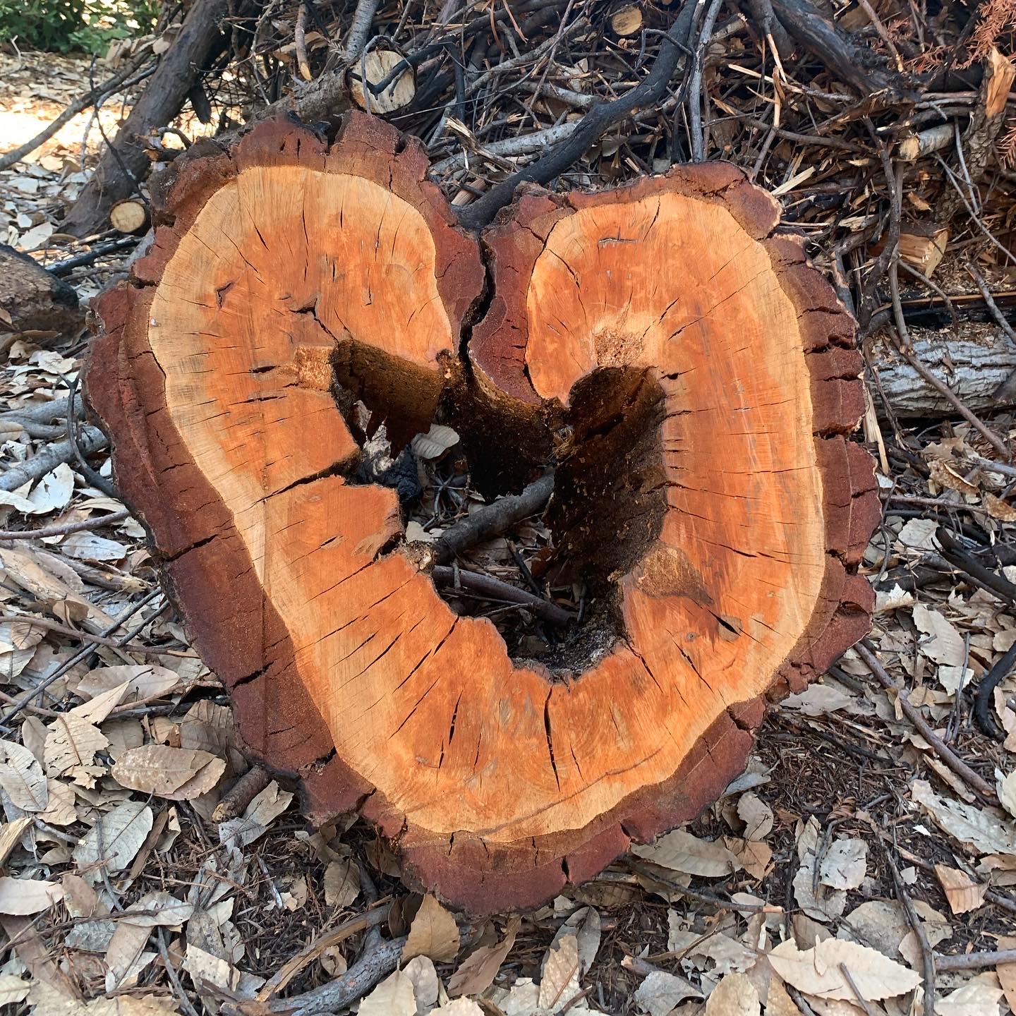 A sliced log in a heart shape