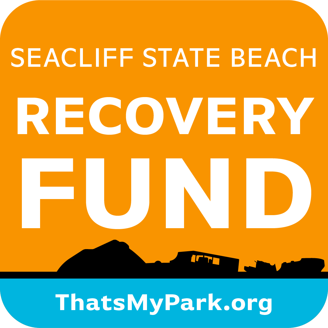 Seacliff Recovery fund Logo